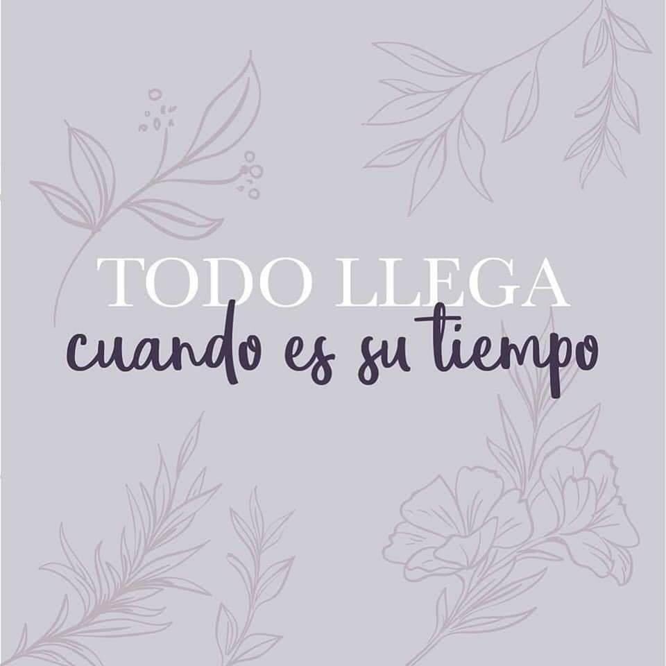 rhochicristaldo's tweet photo. ✨ https://t.co/9woglnumFL