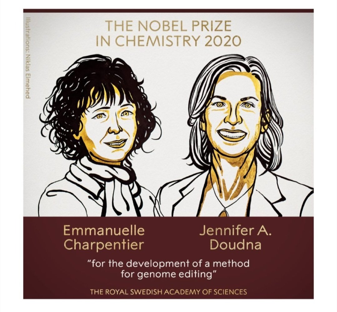 FedeLopezMoya's tweet photo. Congratulations to @e__charpentier and @doudna_lab for the recent awaredness with the Chemistry @NobelPrize for the development of CRISPR CAS methodology. I would like to mention Dr. Francis Mojica from @UA_Universidad, father of this technology #scienceisprogress https://t.co/SVZp6CPlpk