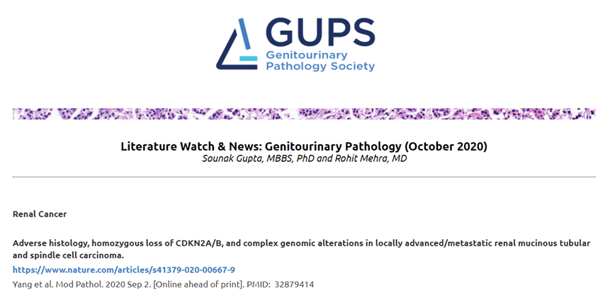 GU_Path_Society's tweet image. Check out @GU_Path_Society Q4 2020 Literature Watch curated by Drs. Rohit Mehra @drmehrarohit &amp;amp; Sounak Gupta @Shounak_Gupta - spanning the spectrum of #gupath &amp;amp; impact of COVID-19 on urologic medicine: gupathsociety.org/Literature-202… #GUPS #UroSoMe