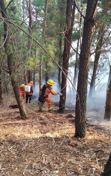 2020 August 1st, 2nd: Fires also begin to take place in Cochabamba. As will be seen this year, fires aren't limited to the Chiquitano forest area (lowlands) but are taking place also in valleys & mountains of  #Bolivia.