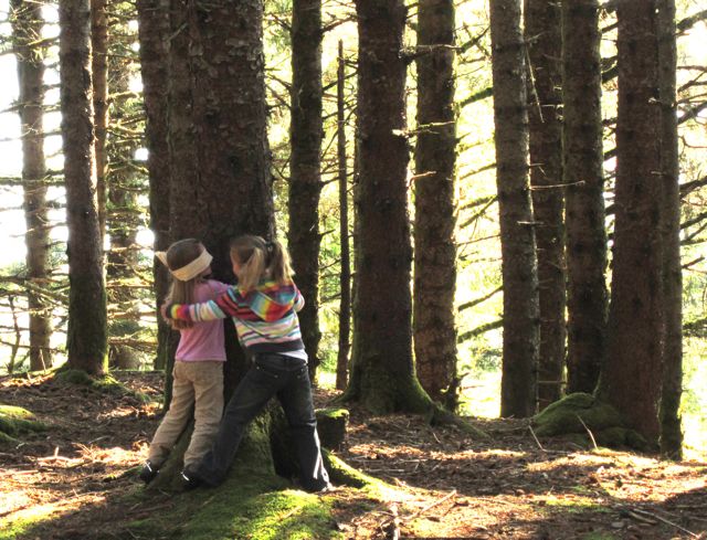 BLMCCSC's tweet photo. Happening today! #AlaskaExplorers 🌲🌳What is a Forest? (K-3rd Focus) program 🔍
Join us at 10-11 a.m. AKDT online💻
Registration is required and space is limited ➡️https://t.co/1haeJtJOFn
#DistanceLearning #VitualLearning #Forests #Trees
📷USFWS https://t.co/lxDkJACn36