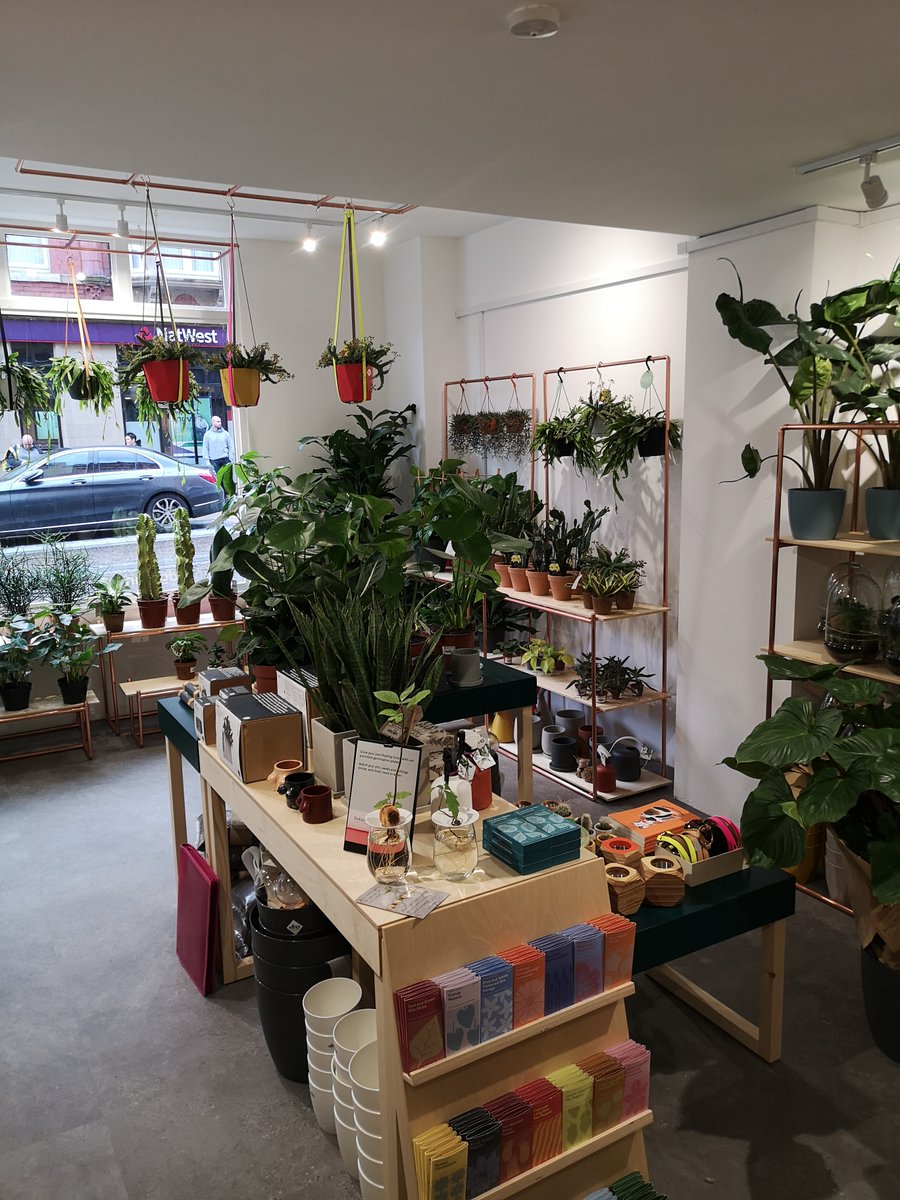 ALTRINCHAM BUSINESS SHOWCASE 🌟

Say hello to Matt &amp; Rowan who have the fabulous new addition to Stamford New Road; Green and Grounded.

Welcome to Amazing Altrincham 🤝🍀🌱

facebook.com/AltrinchamUnli…