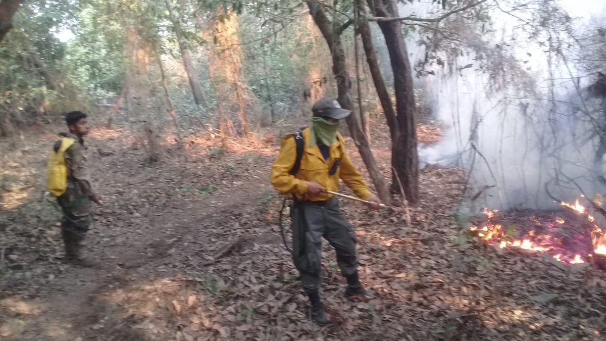 2020 Sept: Fires continue to surround Noel Kempff Mercado Park & civil society demands faster+better response from Añez government. This park is significative because in 2019 huge efforts were made to protect it from fires.  #Bolivia