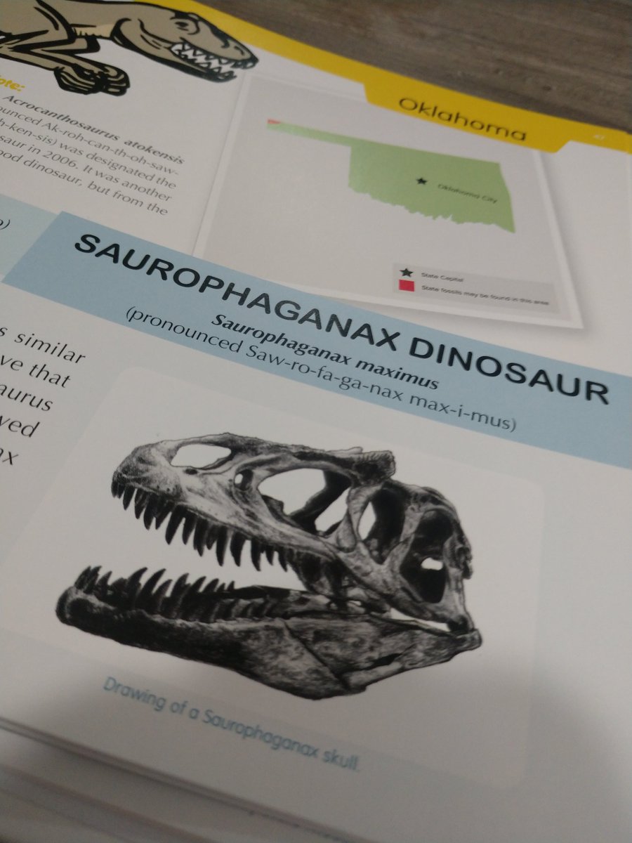 Day 7  #Rocktober  #FossilSpeaking of Oklahoma, our state fossil (as shown in  @FossilLocator's book below) is the Saurophaganax Dinosaur! It's a genus of allosaurid from the Late Jurassic.One is on display at the  @SamNobleMuseum, a must visit! (wear a mask) Dino  are theirs.