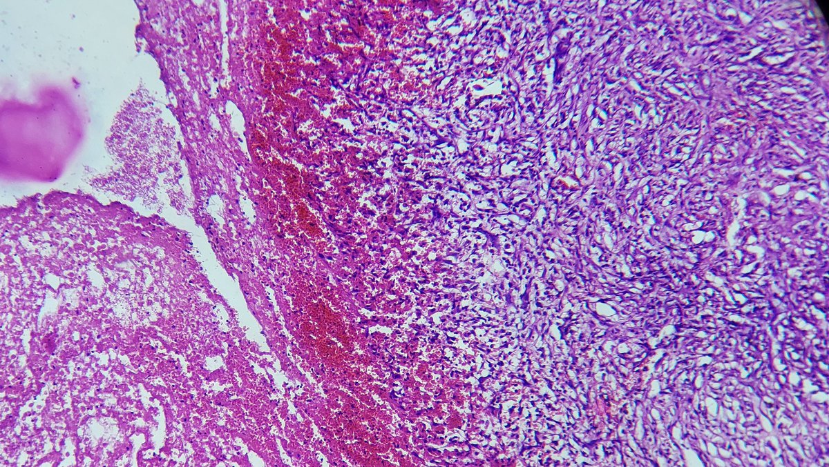 Abhisek Kumar, DNB tweet media