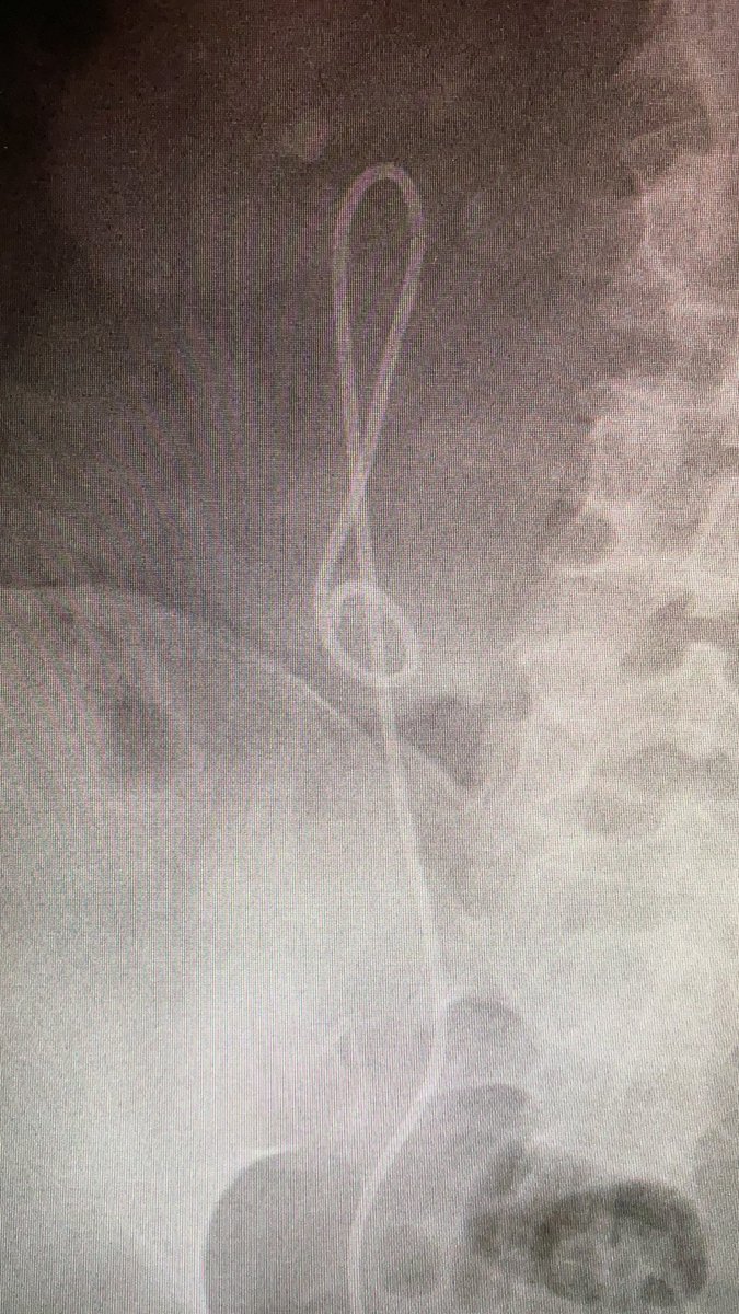 Josep Balañà tweet media