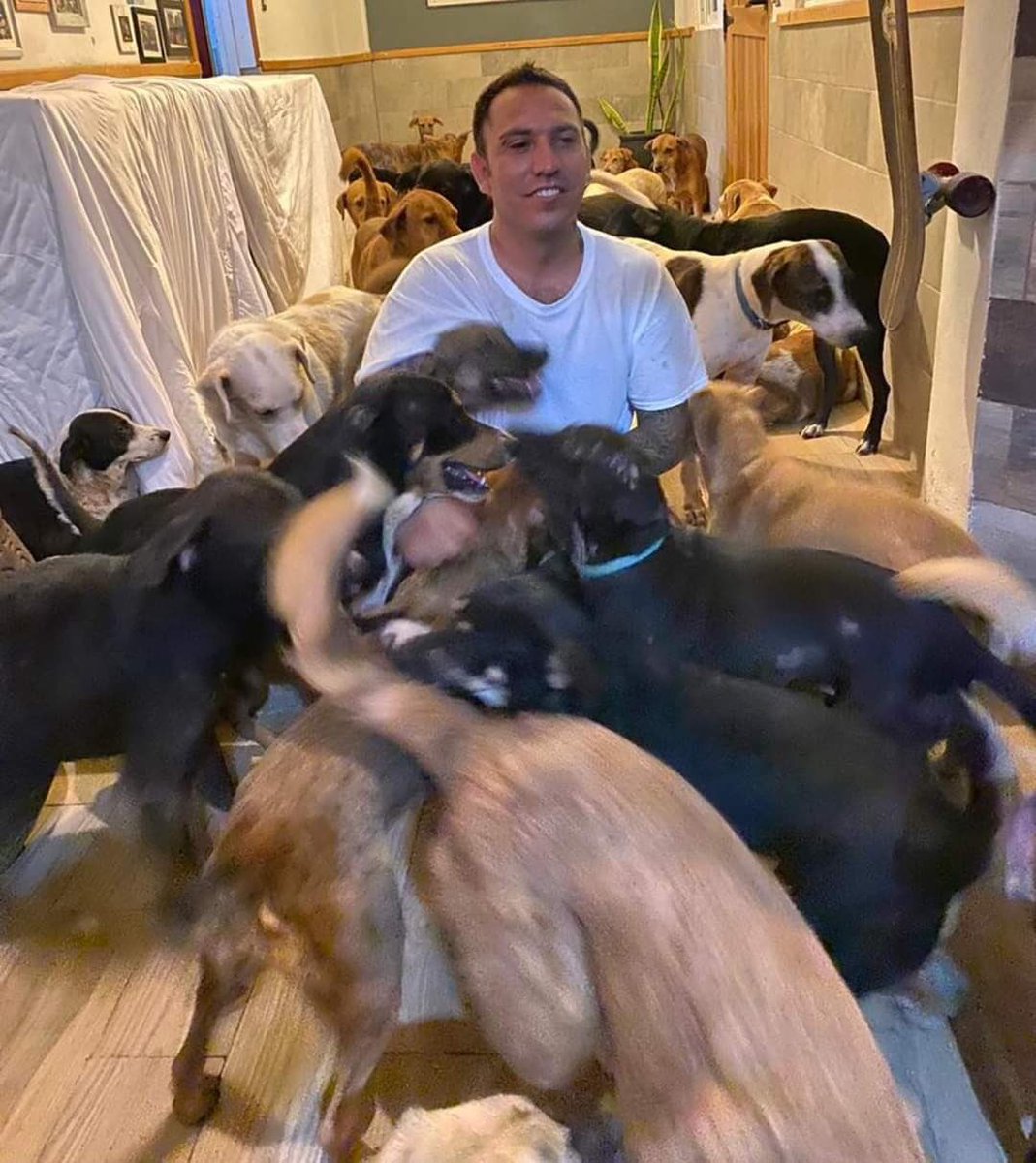 CentinelaMundo's tweet photo. #HuracanDelta #AnimalesDelta
📌Y EN NUESTRA SECCIÓN DE HÉROES SIN CAPA…🦸♂️✨
Ante la llegada del huracán #Delta a #QuintanaRoo, el rescatista Ricardo Pimentel Cordero resguardó a más de 300 mascotas en su casa. https://t.co/maniSiyCL8