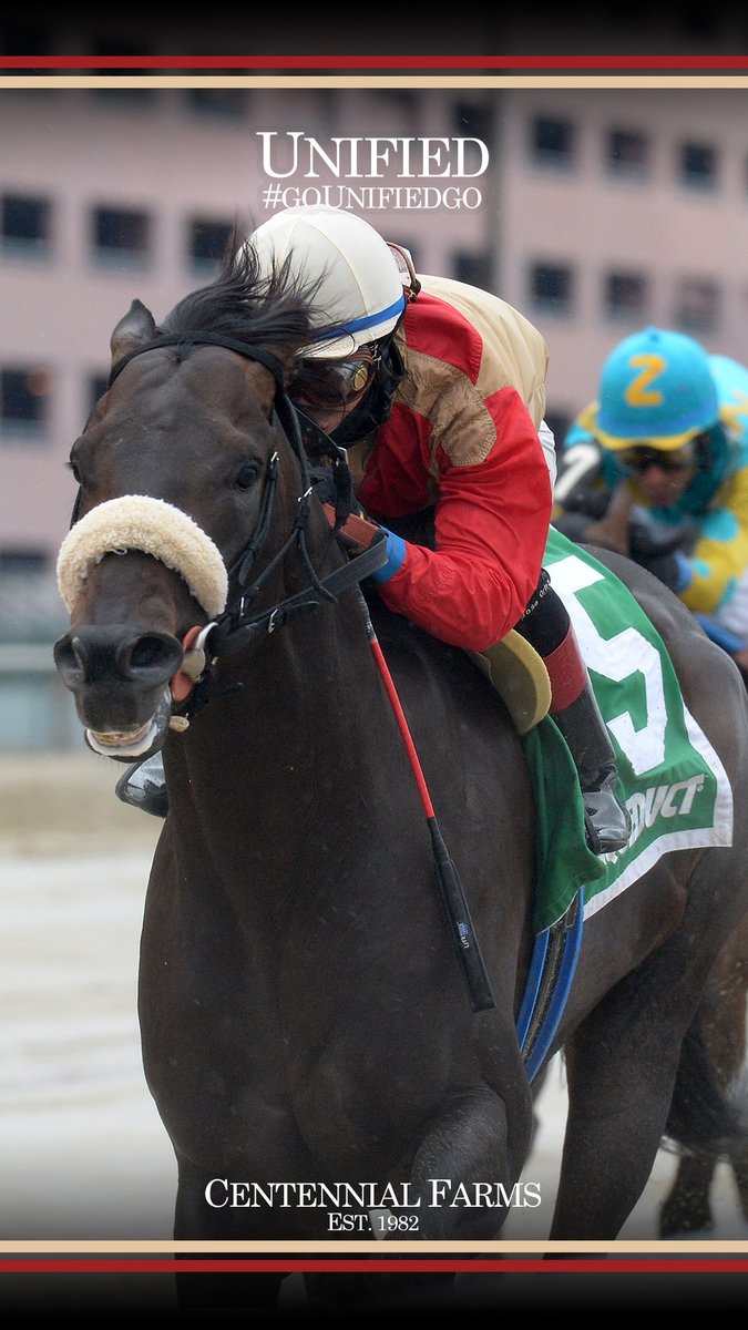 Centennial_Farm's tweet photo. We are so thrilled to offer the Unified, LLC - a partnership comprised of a son and daughter of our multiple graded stakes winner. #WallpaperWednesday features the brilliant racehorse turned @LanesEndFarms standout! #getinthegame: https://t.co/yFsoy27dLZ https://t.co/anWeNTH4An