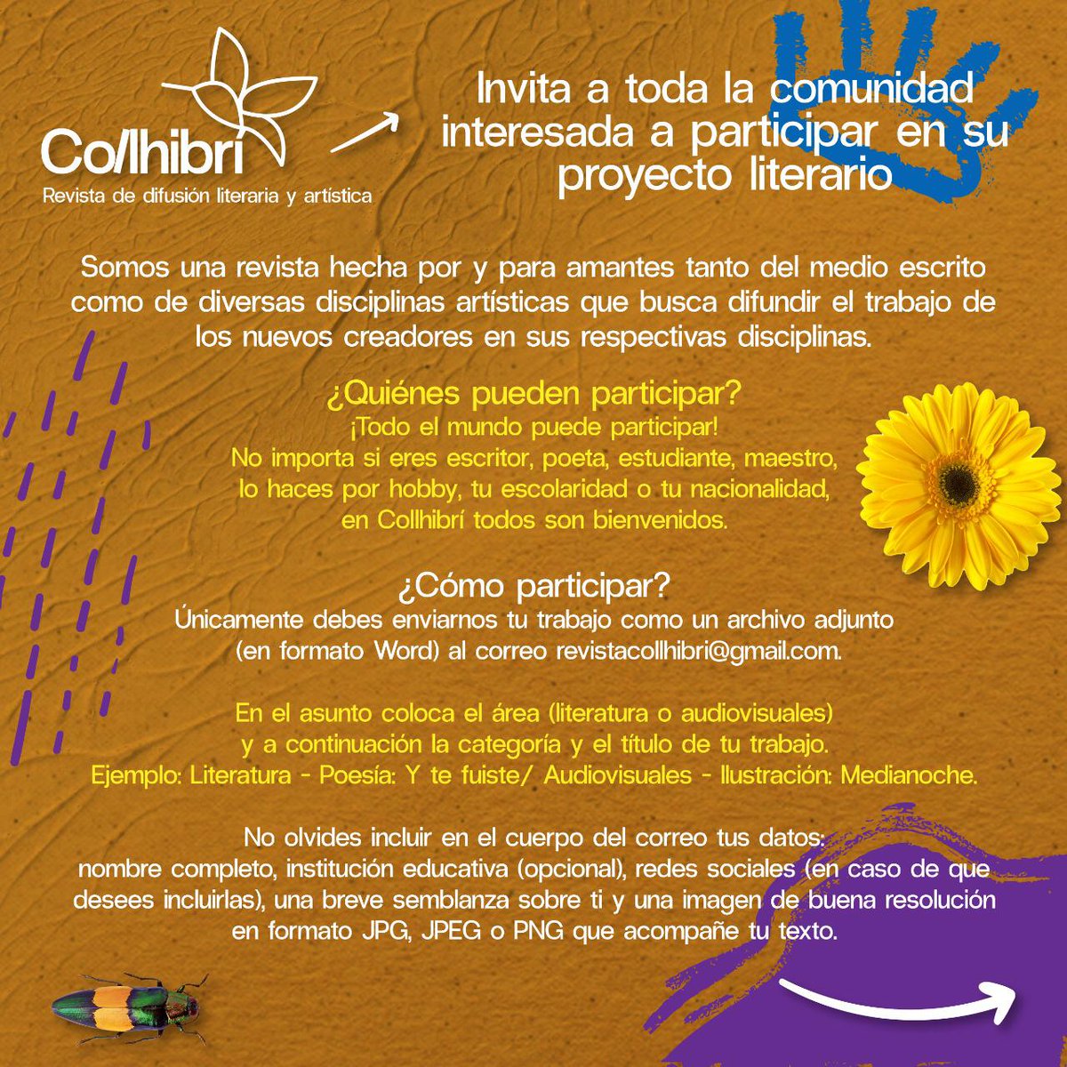 Collhibri tweet media