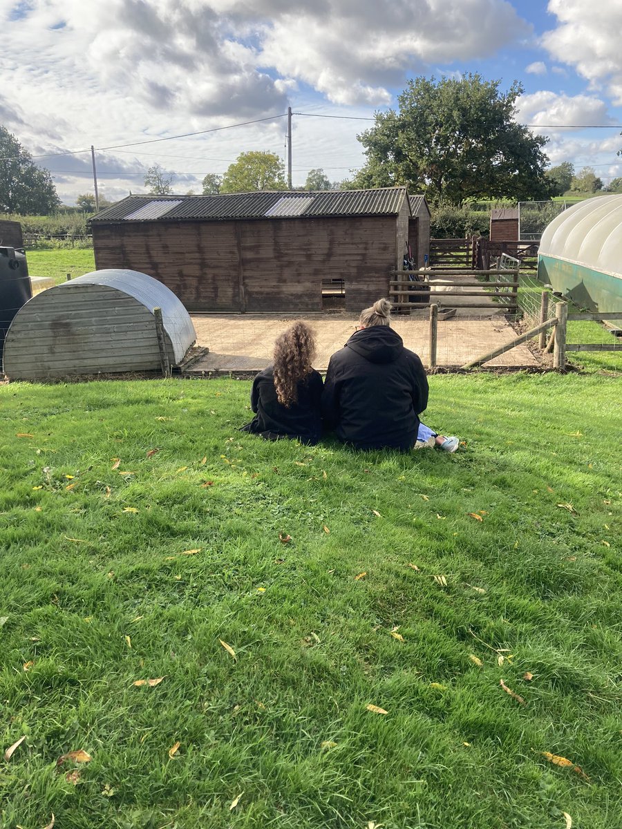 mvfsweb's tweet image. We looked at our school on Google maps and were amazed to see it when it was a farm house. We talked in great detail about how much our school has changed and then chose an area of school to draw and paint. #Class2 #Geography #OurLocalArea