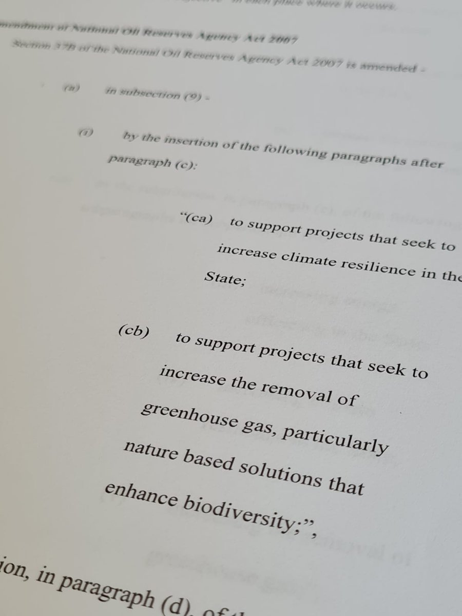 Irishwildlife's tweet photo. Fantastic to see nature-based solutions included in the #climatebill !

Well done @WhitmoreJen who fought for this measure https://t.co/fgE6lu5vgl