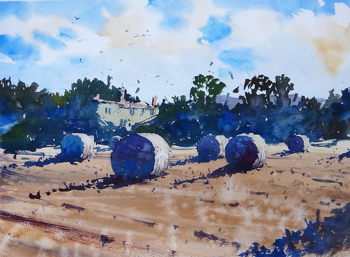 Tim WILMOT tweet media