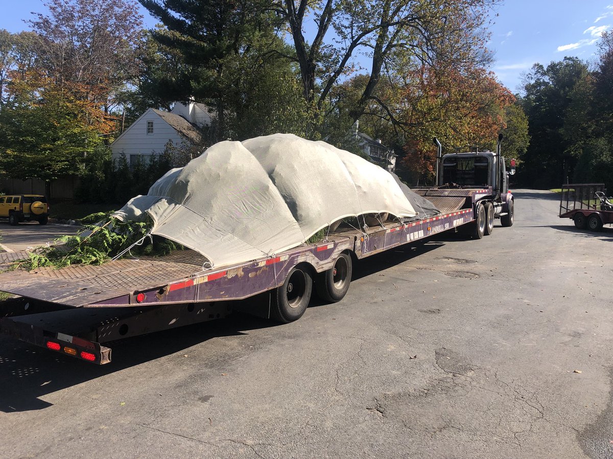 TheFredcoGroup tweet media