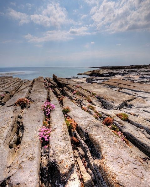 Aran Islands, Ireland🇮🇪

#aranislands #ireland #travel #epictouristspots #aranislandsireland #travelawesome #rockspace #travellist #traveller #travelguide #vacationspots #islands #discoverearth #wanderlusttravel #travelblogging