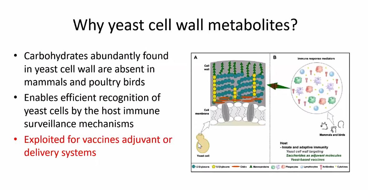 CBS Bio Platforms tweet media