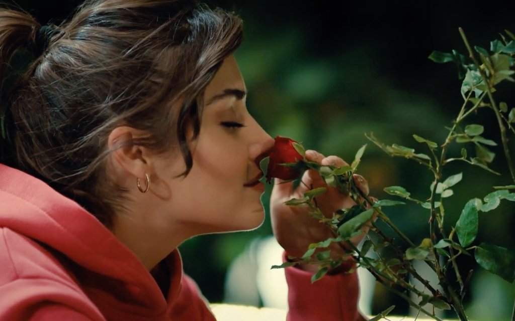 🌹