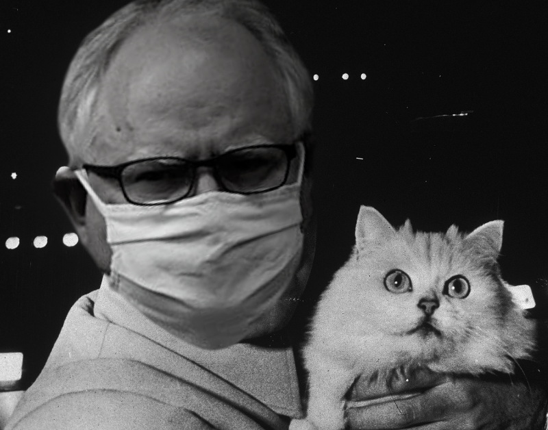 ProjectHumphrey's tweet image. Enemy of the people