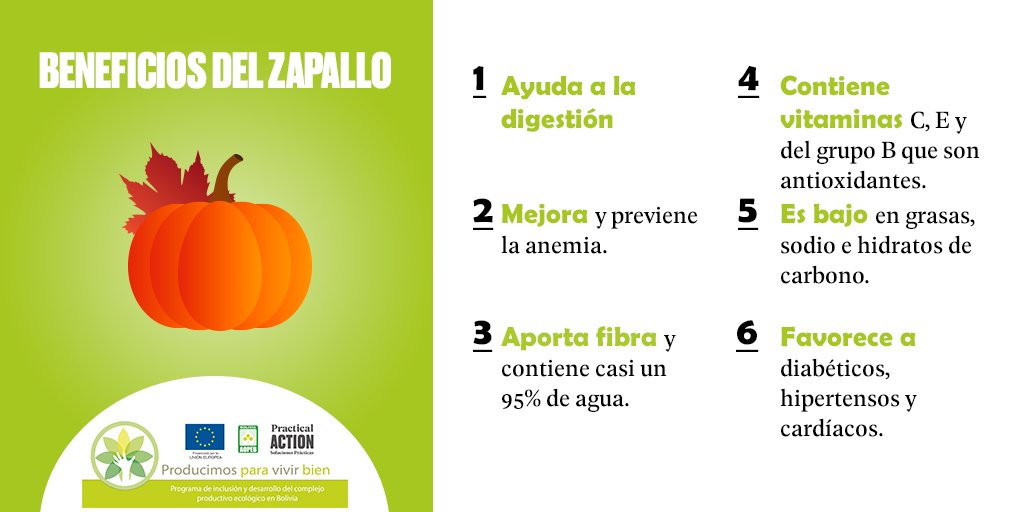 ProdEcologicBol's tweet photo. ¿Conoces los beneficios que contiene el consumir zapallo?
Desde #AOPEB te explicamos algunos de ellos que ayudarán a tu salud.
 #Producimos_Para_Vivir_Bien #UEenBolivia #PracticalAction  #Producción_Ecológica https://t.co/94sKGLUf2d