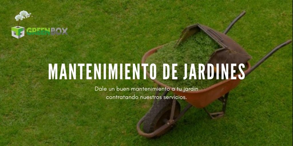 GreenBox_mx's tweet photo. https://t.co/4XDPOWbily
