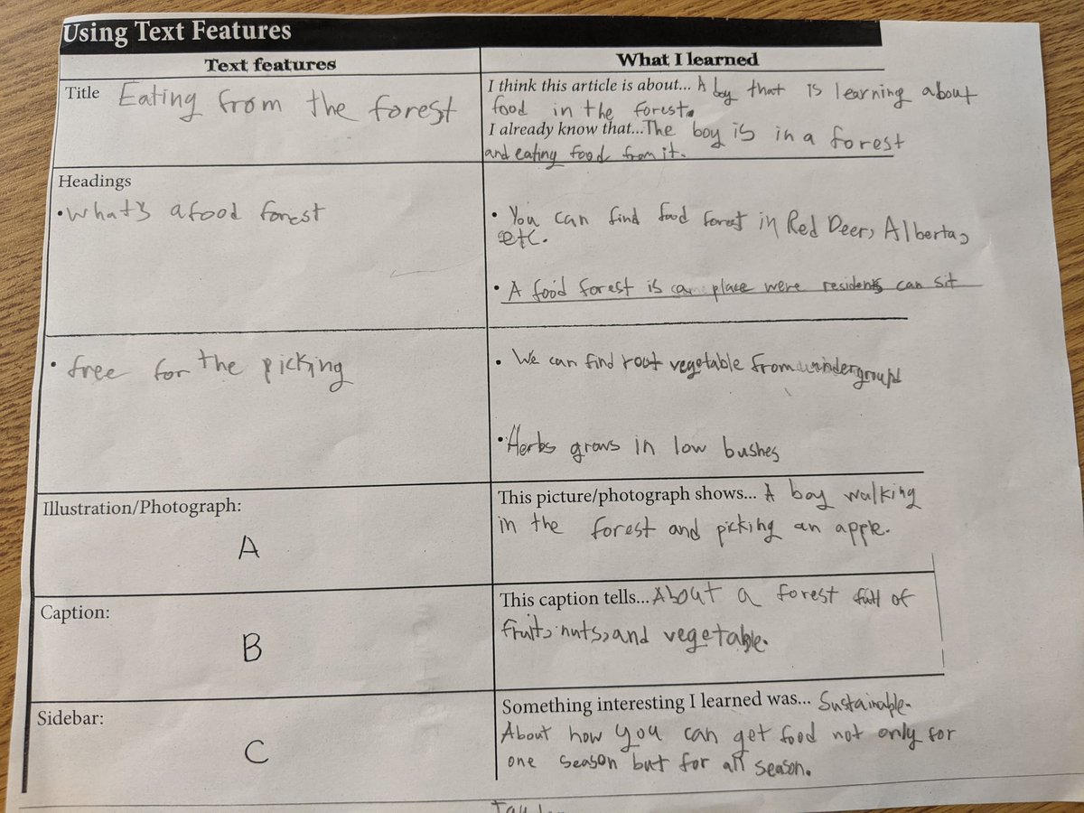 gillisgreen205's tweet photo. This week we worked with our first @LesPlan #CanadianReader article about food forests. @EcoSchoolsTDSB And then... https://t.co/2O6tlmdhHW