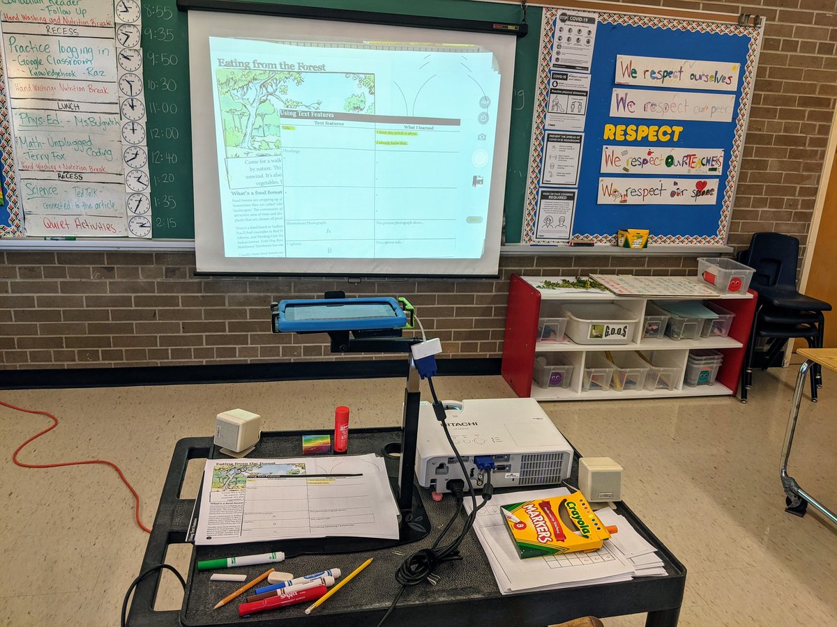 gillisgreen205's tweet photo. This week we worked with our first @LesPlan #CanadianReader article about food forests. @EcoSchoolsTDSB And then... https://t.co/2O6tlmdhHW