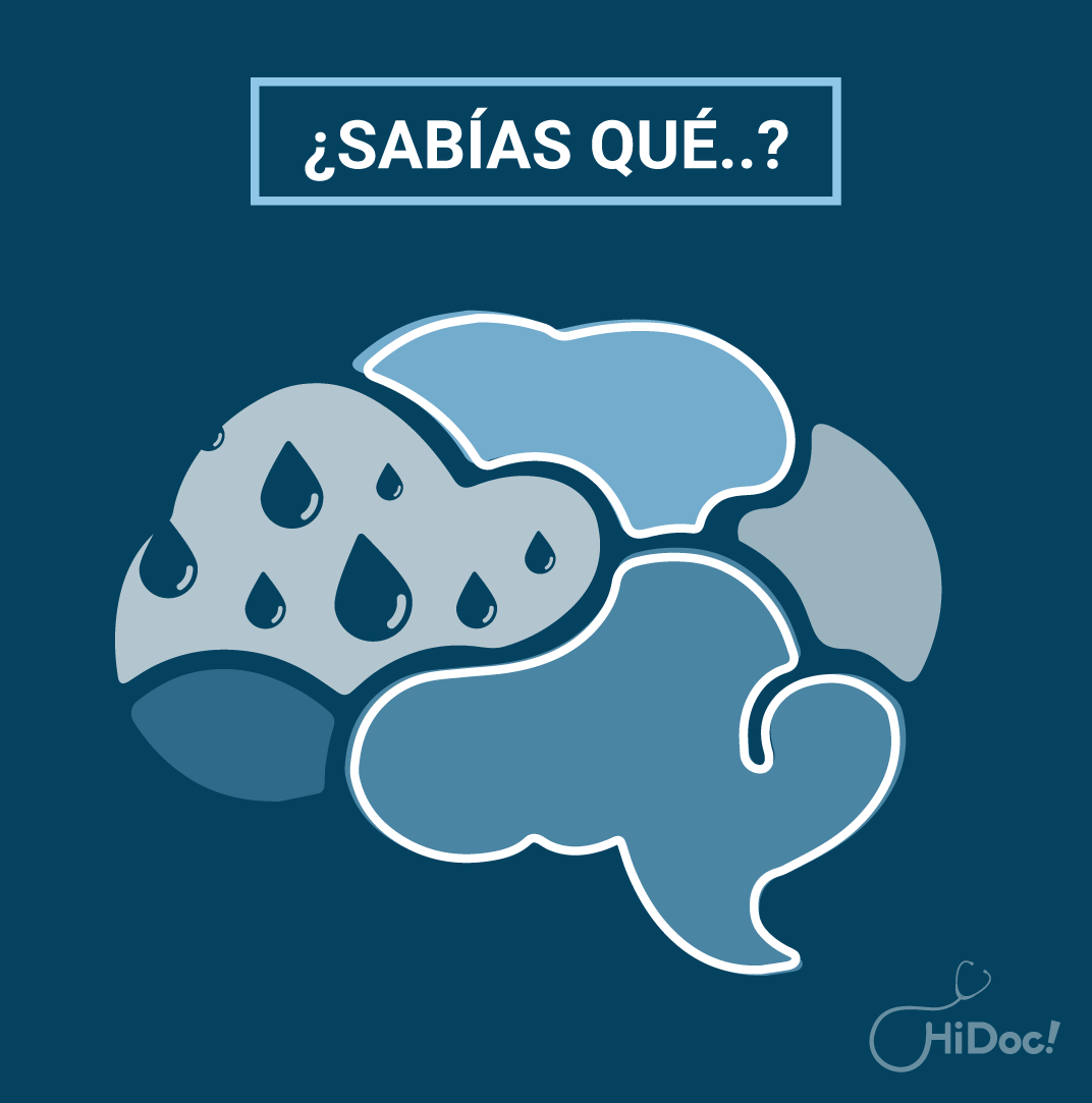 HiDocMx's tweet photo. Casi todo el contenido de las células es acuoso. Por ello, gran parte de nuestro cuerpo es agua, y el cerebro no iba a ser una excepción. Tres cuartas partes son agua. https://t.co/pyOVJyfnE5