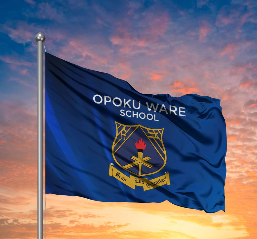 OWASS MAG tweet media