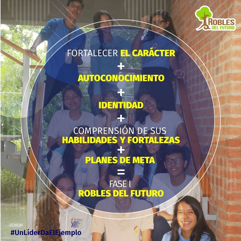 A.C. Grupo Alpha tweet media