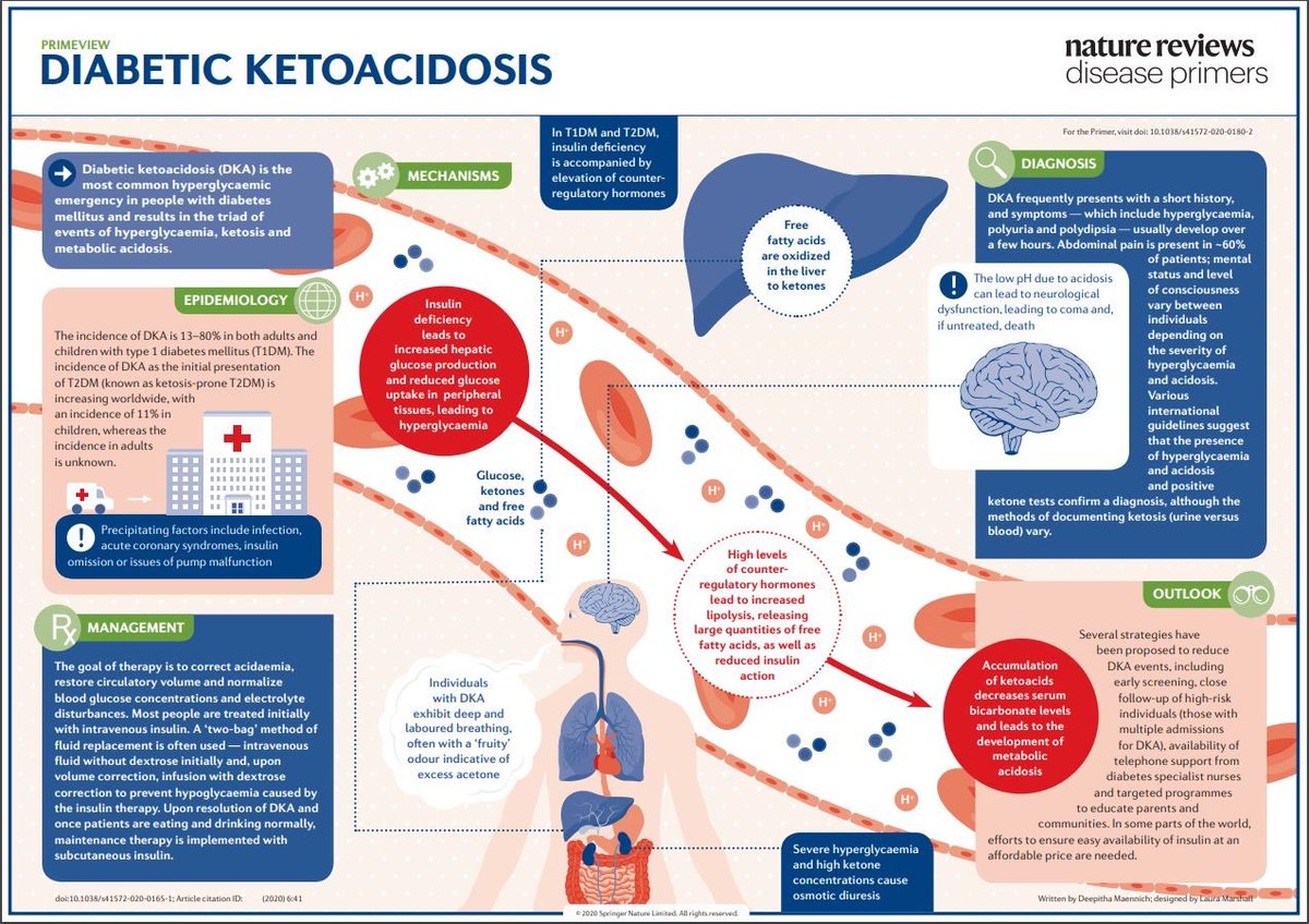 OrlandoRPN's tweet photo. Fisiopatología de Cetoacidosis Diabética
Descarga la imagen del Nature: https://t.co/p4yW4D4w5F https://t.co/AiR1unqgMG