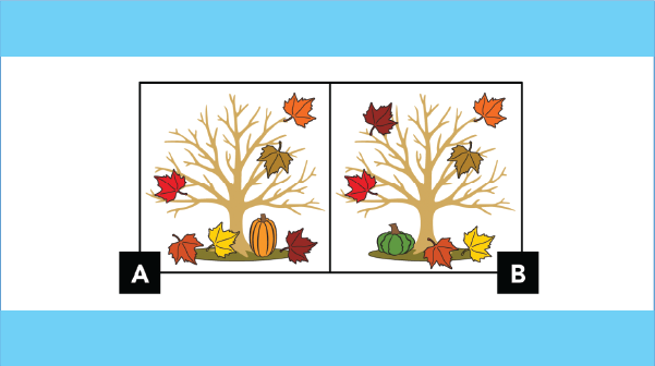 MLCmath's tweet photo. Look at the pictures. What do you notice? How are they the same? How are they different? #SameandDifferent #PreK #BridgesMath #DistanceLearning
https://t.co/SXU5CjuzzA https://t.co/f5JFpwmFVB