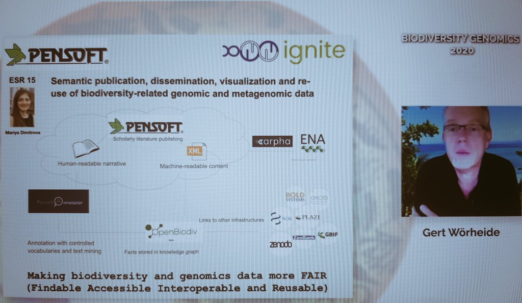 ksenia_juravel's tweet photo. @gwoerhe introducing @itn_ignite in the #BiodiversityGenomics2020
Showing the research of @ksenia_juravel (@LMU_Muenchen) @mdmtrv (@Pensoft) @Arielzyc (Zoological State mu. Munich) Kenneth (@nuigalway). Next talk from #ITN_IGNITE is by @NGuiglielmoni! Join @GIGA_COS session! https://t.co/EmwETA3nlC