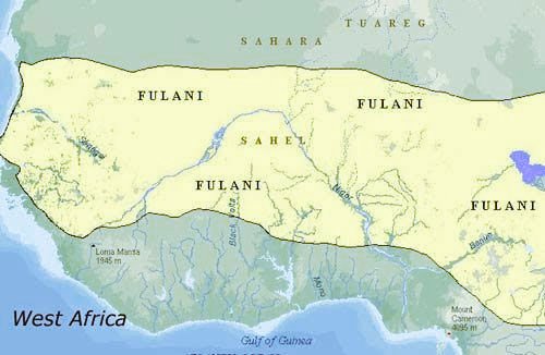 The countries in Africa where they are present include Mauritania, Senegal, Guinea, The Gambia, Mali, Nigeria, Sierra Leone, Benin, Burkina Faso, Guinea Bissau, Cameroon, Côte d’Ivoire (Ivory Coast), Niger, Togo, the Central African Republic, Ghana, Liberia, and as far as Sudan.