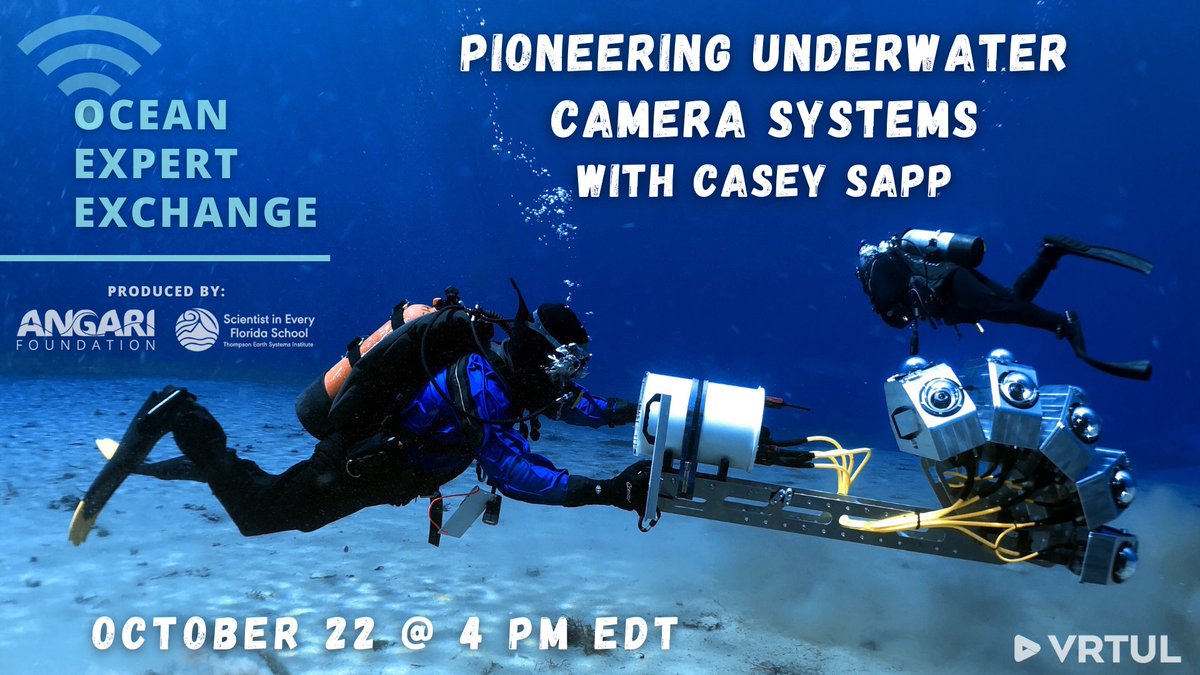 ANGARI Foundation tweet media