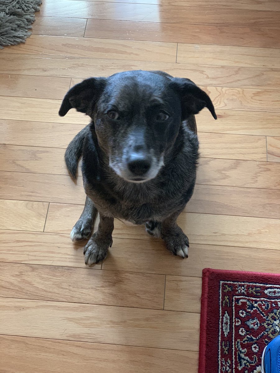 “EXCUSE ME, SIR. I MUST PROTEST YOUR DECISION TO NOT BE CARELESS BY DROPPING FOOD ON THE FLOOR.”