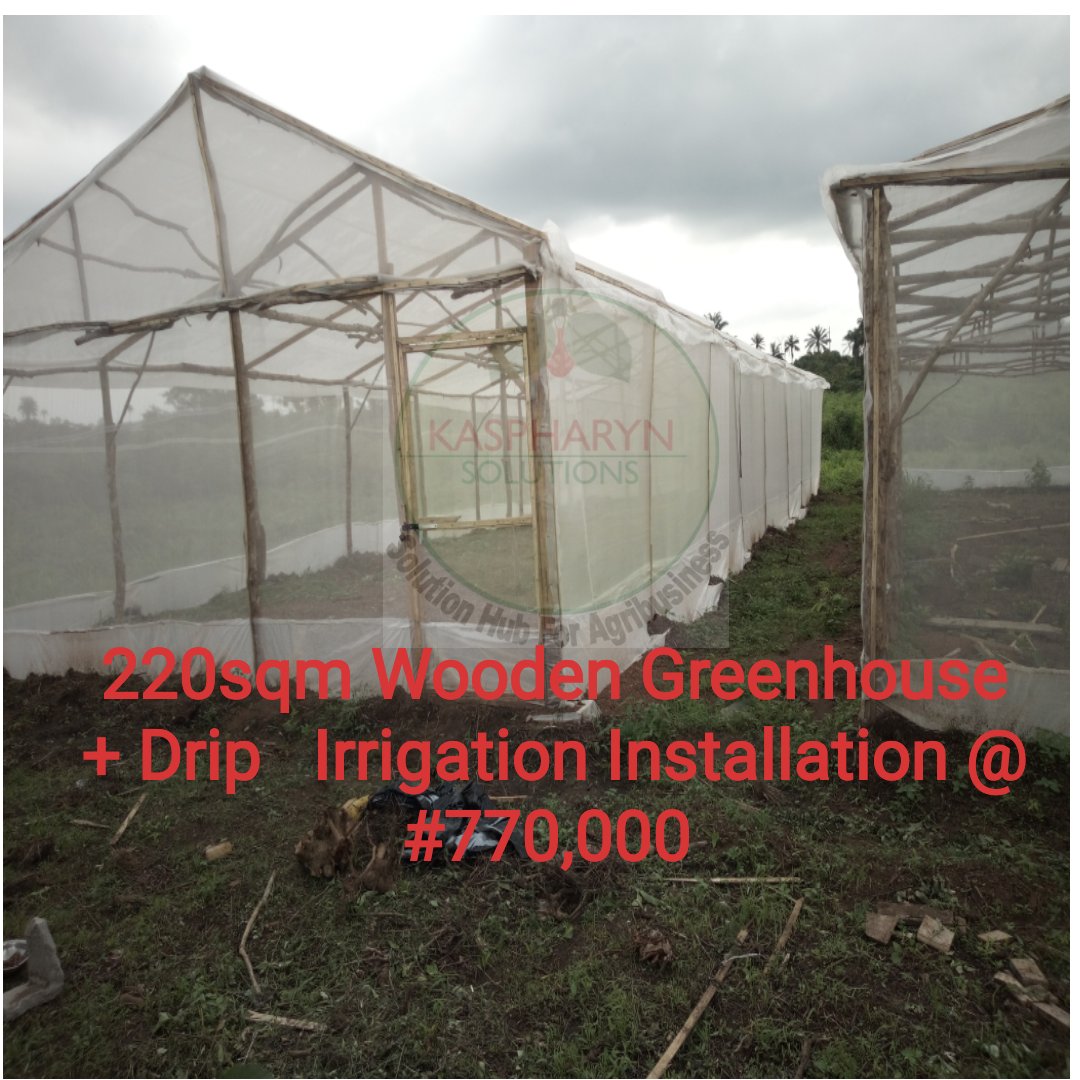 kaspharyn's tweet image. Great Opportunity!!!

220sqm Wooden Greenhouse + Drip Irrigation Installation only.

#lowcostsolution
#greenhousegardening
#greenhousefarminginnigeria
#greenhousetechnology
#bellpepper

Contact us;
07066515451
info@kaspharynsolutions.com
kaspharynsolutions.com/featured_item/…
