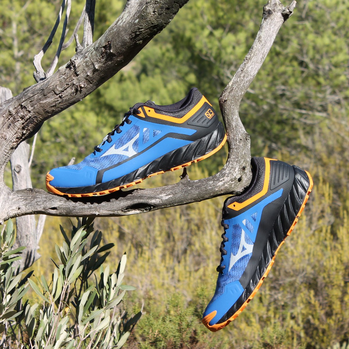 Conquista la naturaleza con la nueva Wave Ibuki 3 ⛰
Una zapatilla muy versátil que te ofrece una combinación perfecta de amortiguación y agarre, ideal para los que se inician en el #trailrunning
#Mizuno #MizunoTrailRunning #WaveIbuki3 #ReachBeyond https://t.co/ljoV8HSmwX