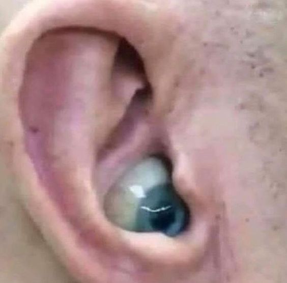 viste lo que dijo??