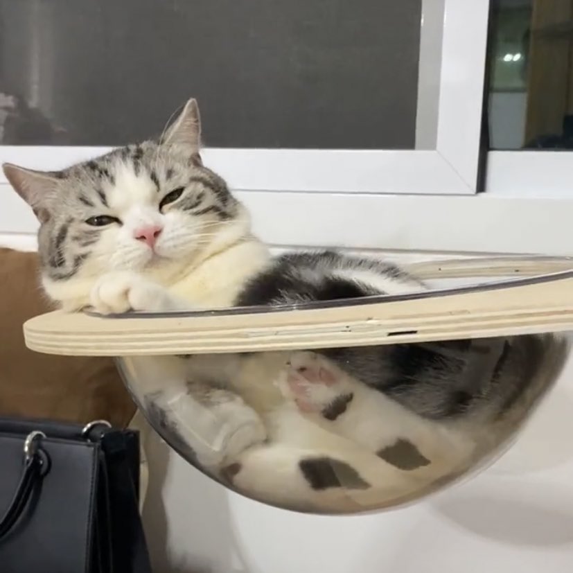 ʏᴏᴜ ᴅᴏ ᴍᴀᴛᴛᴇʀ ʙᴀʙᴇ ♡‧₊˚ tweet media
