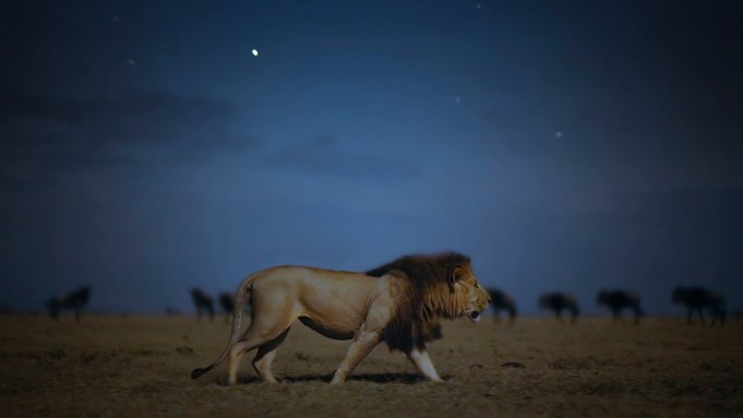 Apple_Geek_Actu's tweet photo. TV+: Earthsound, une série d'histoire naturelle axée sur l'expérience audio #Apple #AppleTVPlus #Earthsound
https://t.co/MpNsrofCVL https://t.co/4oaY7xygJC