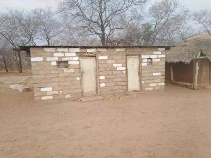 Webster Madanhi tweet media