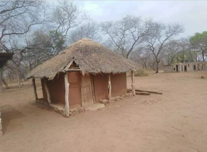 Webster Madanhi tweet media