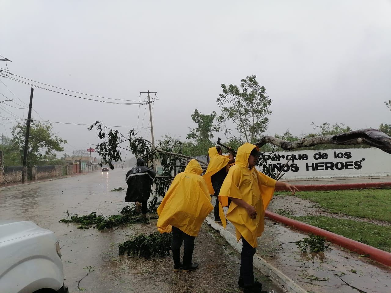 Imagen