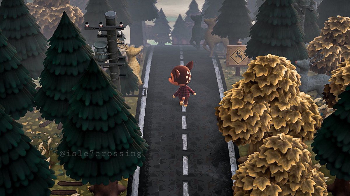 isle7crossing's tweet photo. Made some updates to the highway to ensure the safety of our new deer resident, Fauna 🦌 #acnh #animalcrossing https://t.co/y4YXlFf6iI