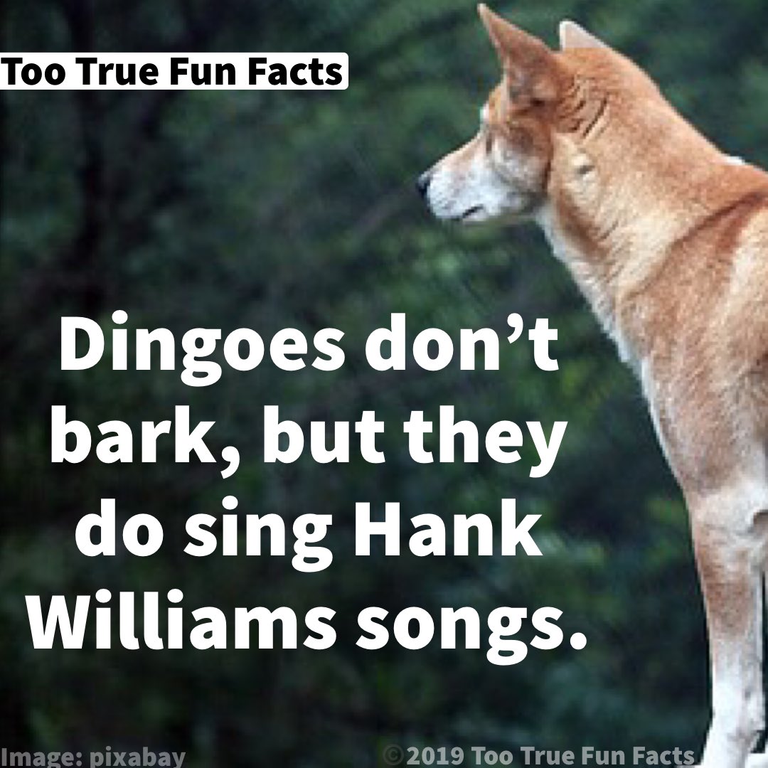 🔅Osaka Gameing🔅 (@OsakaGameing) on X, image size:1080x1080