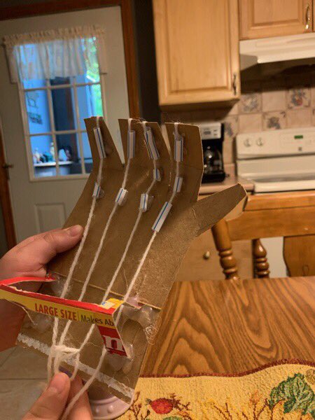 Taylor Robitaille tweet media