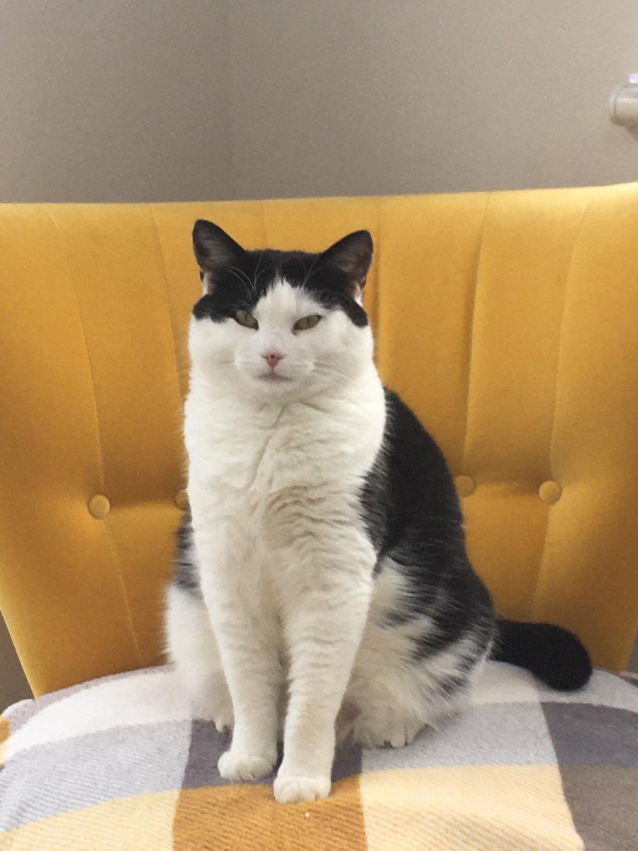 Rosie ‘I’m just so pretty’ tweet media