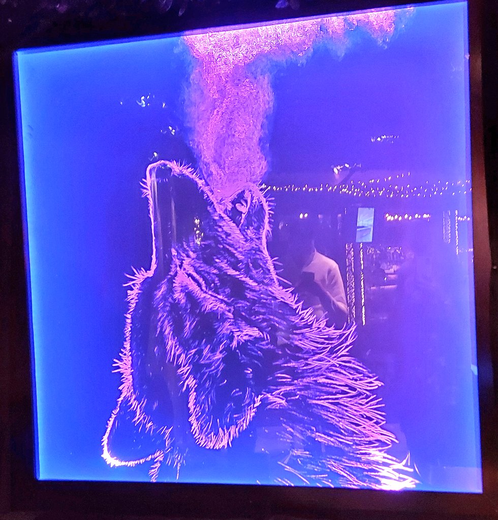 adventures_m's tweet photo. The art in @RocketsLife #menlyn is mesmerizing #ItsALifestyle #RocketsLaunch #SeeRockets #RocketsMenlyn https://t.co/YqjBPdHjz2