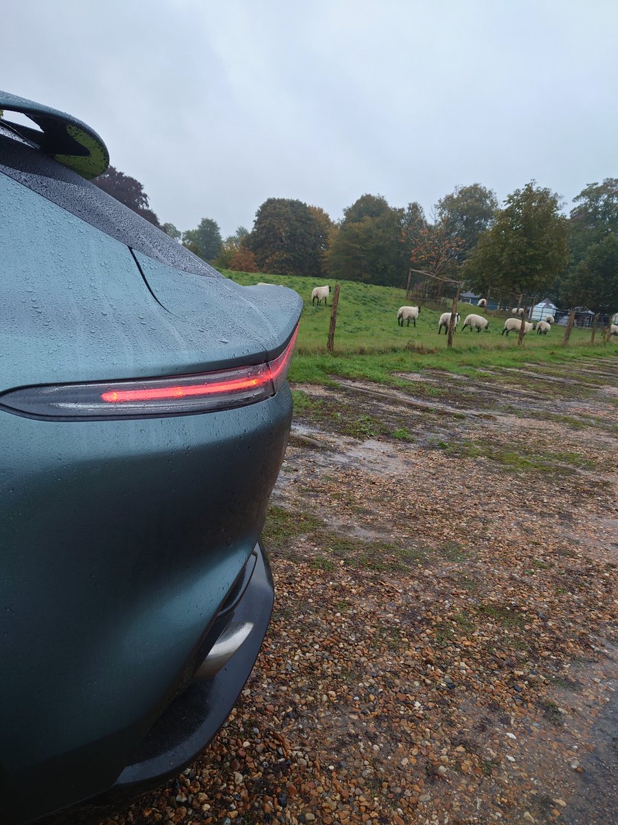 ocrossborder's tweet photo. Aston Martin DBX #WingWednesday
#astonmartindbx #AstonMartin #dbx #beautifulisrelentless #privatewealth #oliviacooper #oliviacrossborder https://t.co/clcHAj71jJ