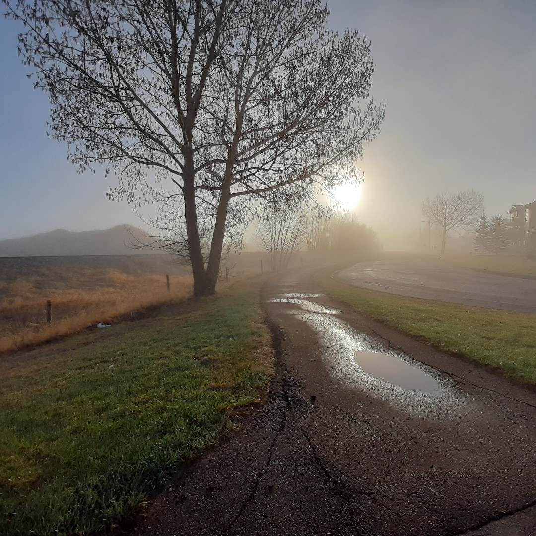 RobtheHortGod's tweet image. Something about fall or the changes in seasons triggers some internalized contemplation. It is always a good time for some #thinking. ow.ly/q4eU50BMnQB #HortMorsels #mirrorthinking
