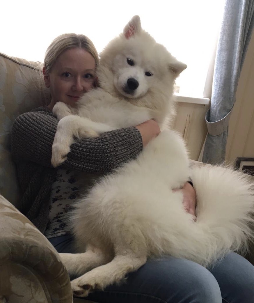 Lou_anne101's tweet photo. Who needs diamonds when youโre this rich ๐๐ #bigfluff #bearhugs #youhadmeatwoof๐พ https://t.co/ZYGW9Z4Ga3